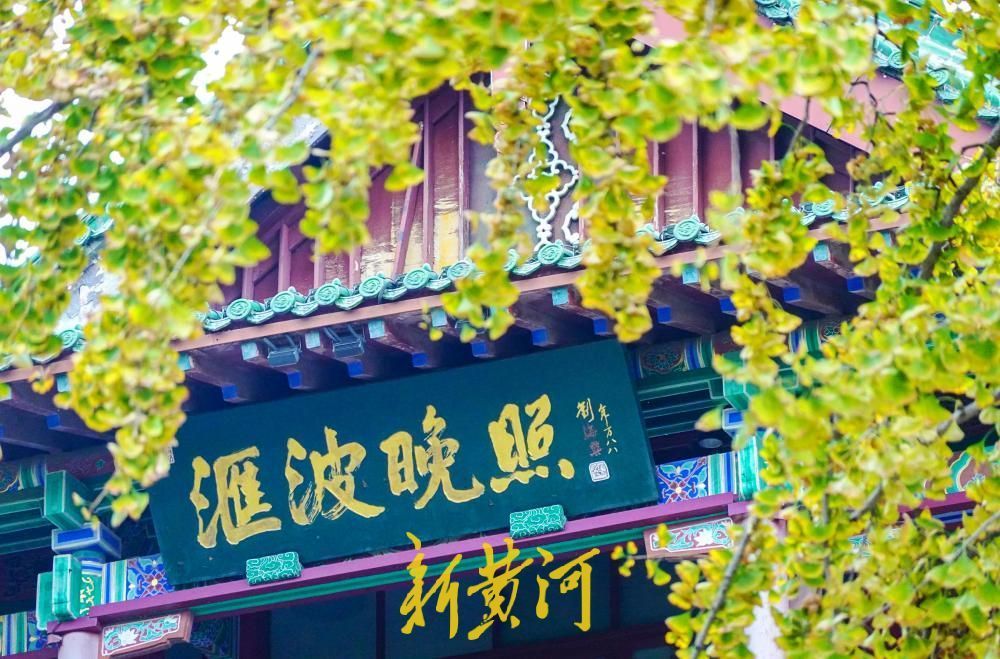 济南：金秋赏叶季开启，白蜡金叶映古建