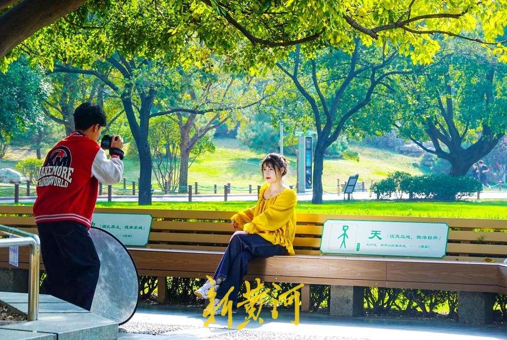 济南:泉城公园“十一枝朴树”成网红打卡点