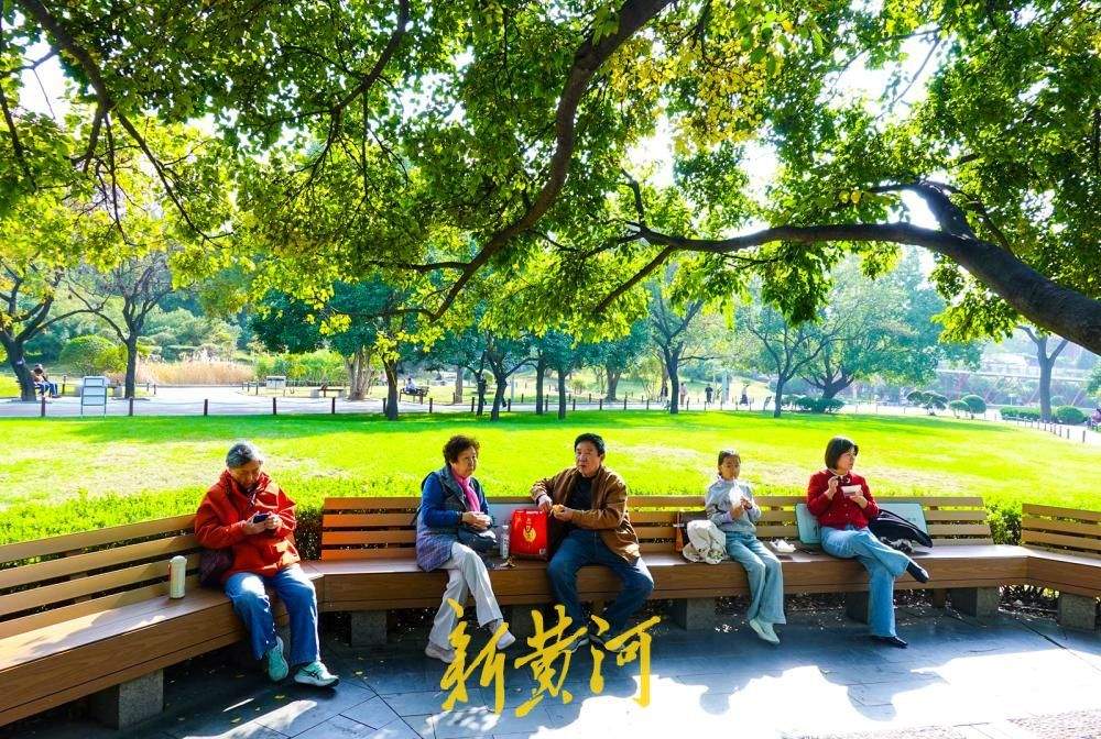 济南:泉城公园“十一枝朴树”成网红打卡点