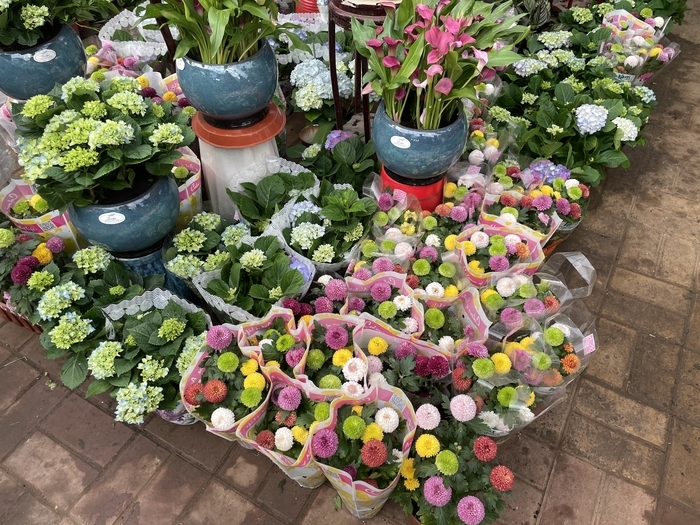 兔年春节至 鲜花送祝福 济南花卉市场迎来销售高峰