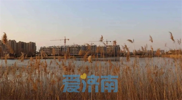 听到有人落水，济南俩小伙奋不顾身跳入河水施救