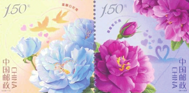 《玫瑰》特种邮票首发式在山东省平阴县举行