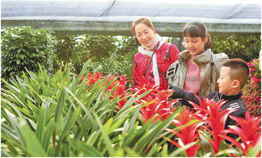双节临近，山东邹平花卉市场迎来销售旺季