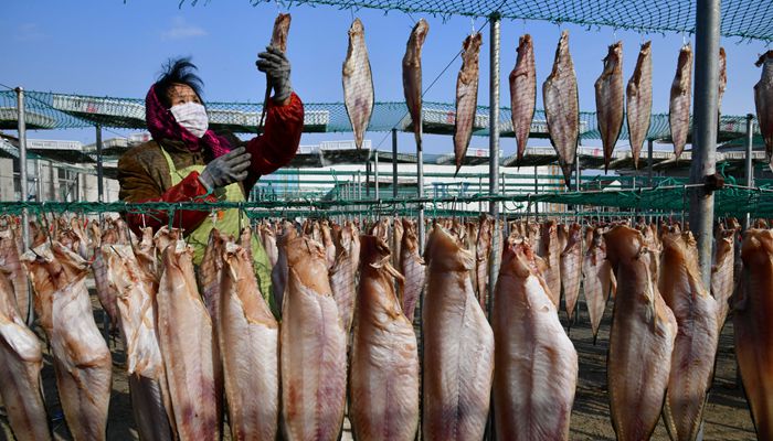 山東漁村：特色魚幹供應市場