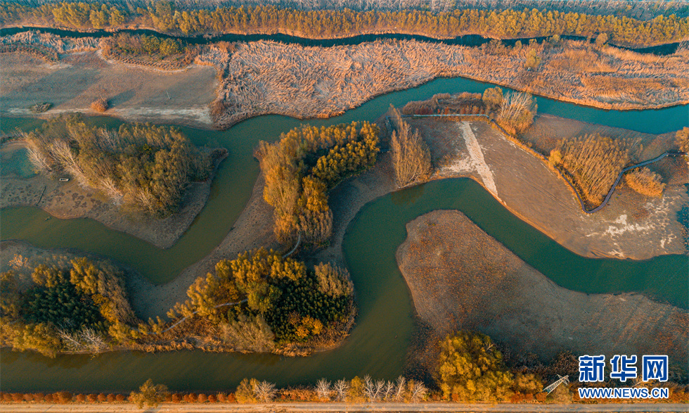 航拍冬日台儿庄运河湿地的"几何构图"