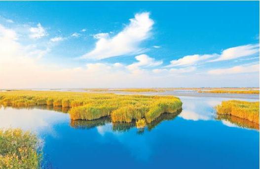 山东：2亿元专项资金保护黄河生态