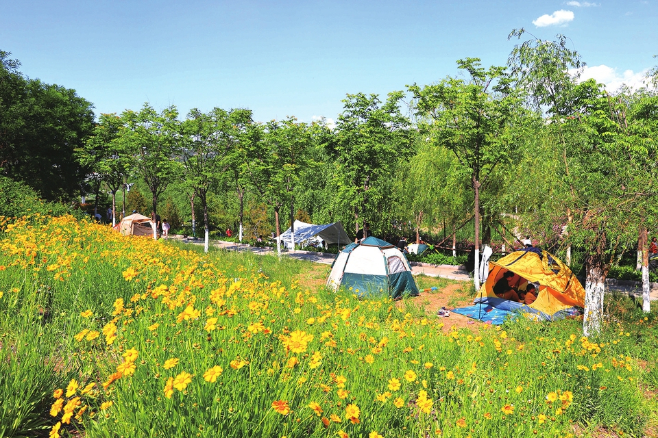 “帐篷生活”成济南本地游新宠 露营为什么火了？