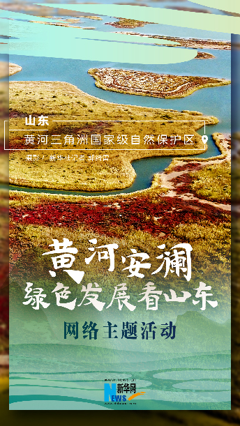 九宫格|绿色发展看山东 观黄河安澜“图景”
