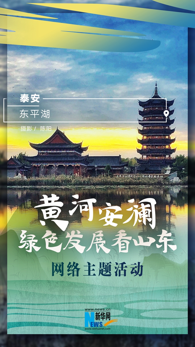 海报|绿色发展看山东 观黄河安澜图景