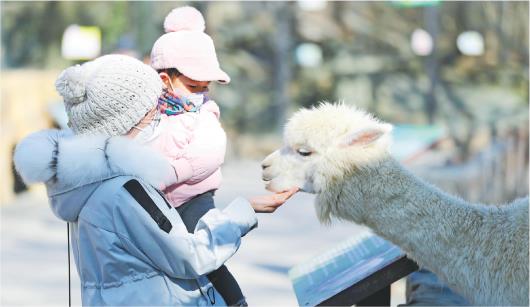 青岛森林野生动物世界：乐享冬日暖阳