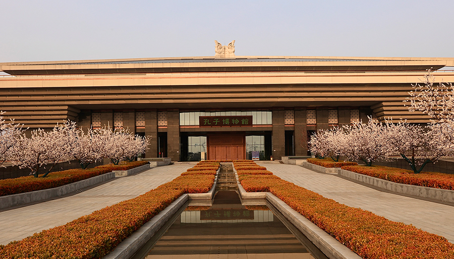 孔子博物館迎來杏花季