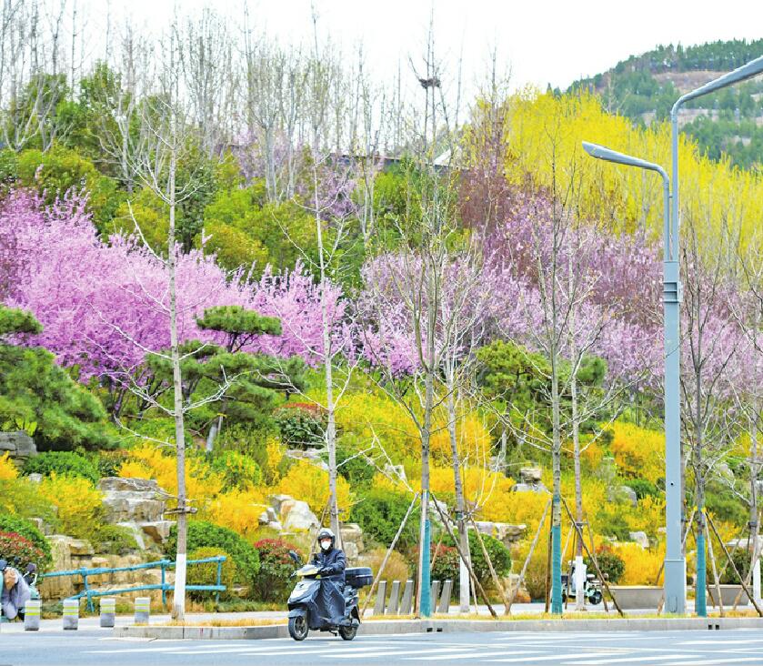 济南最美花开季来了